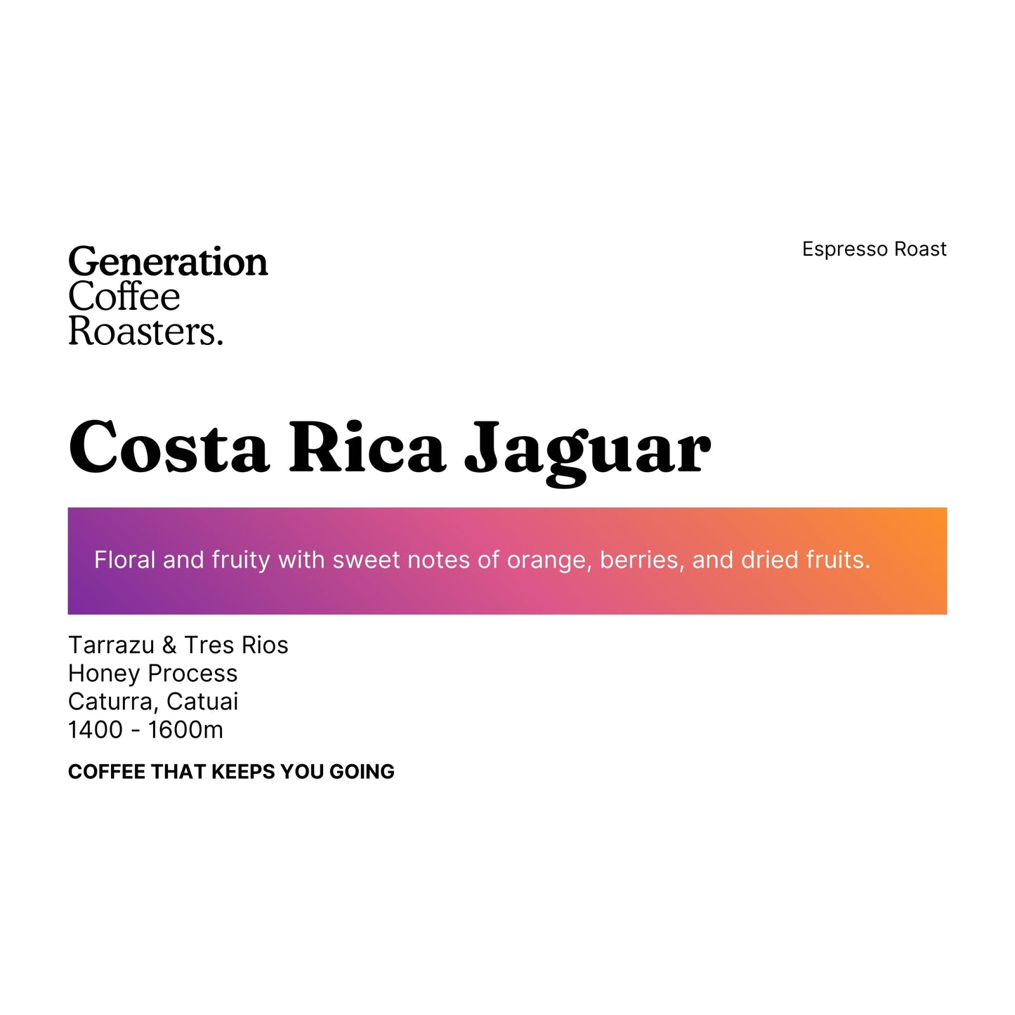 Costa Rica Jaguar