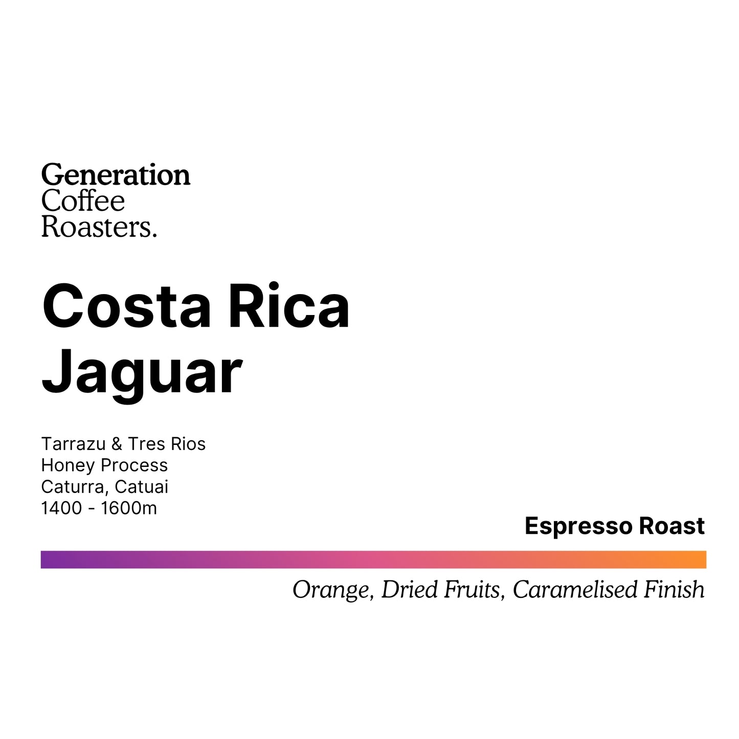 Costa Rica Jaguar