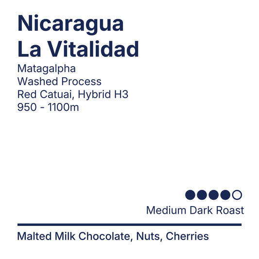 Nicaragua La Vitalidad