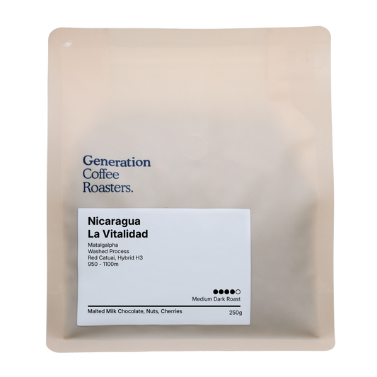 Nicaragua La Vitalidad