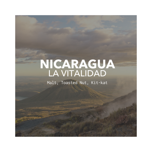 Nicaragua La Vitalidad