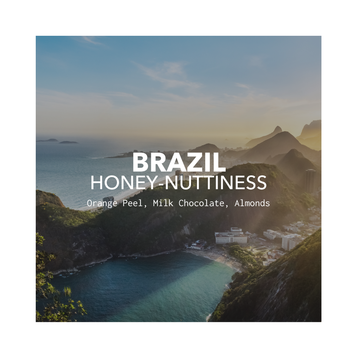 Brazil Honey-Nuttiness