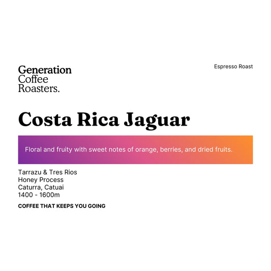 Costa Rica Jaguar