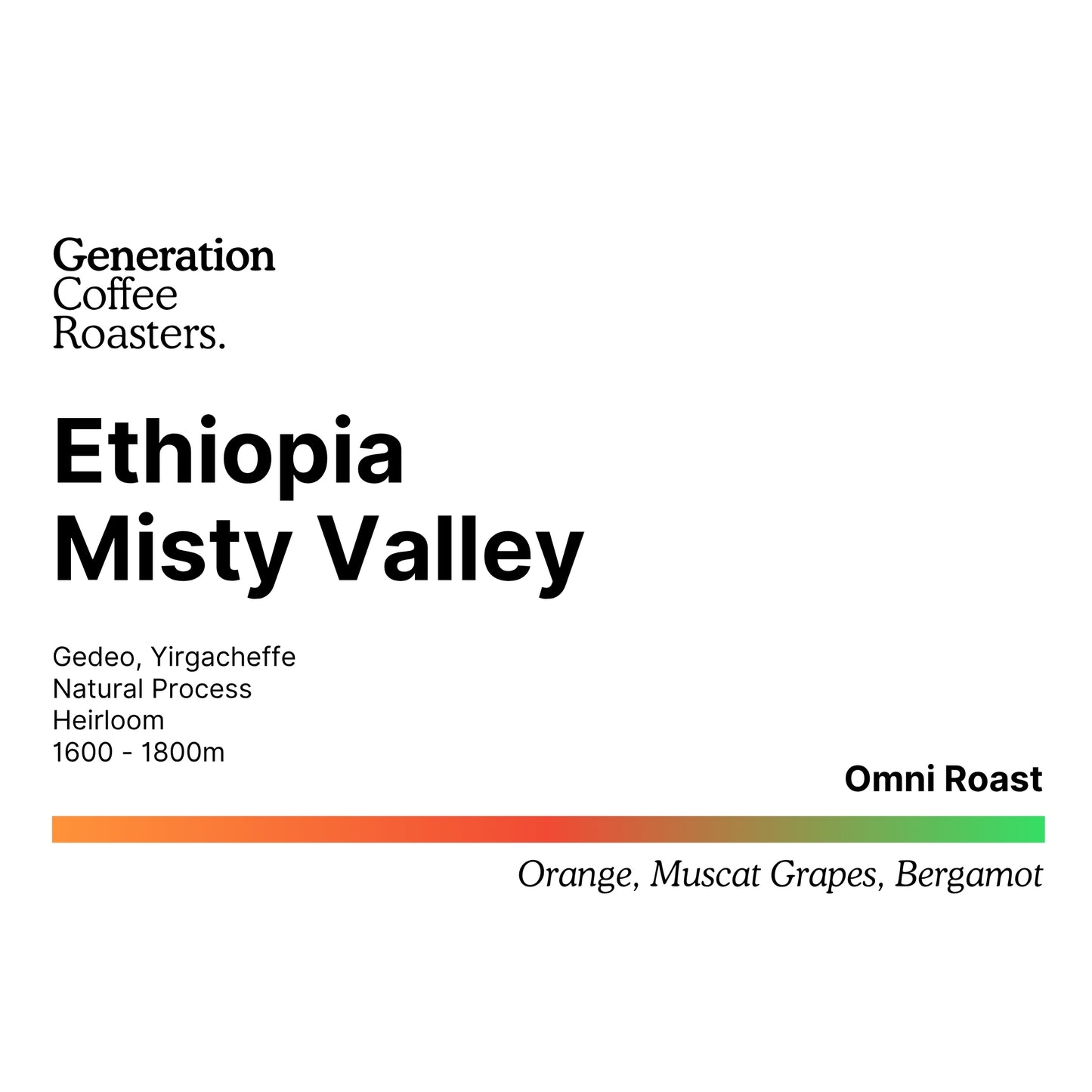 Ethiopia Misty Valley