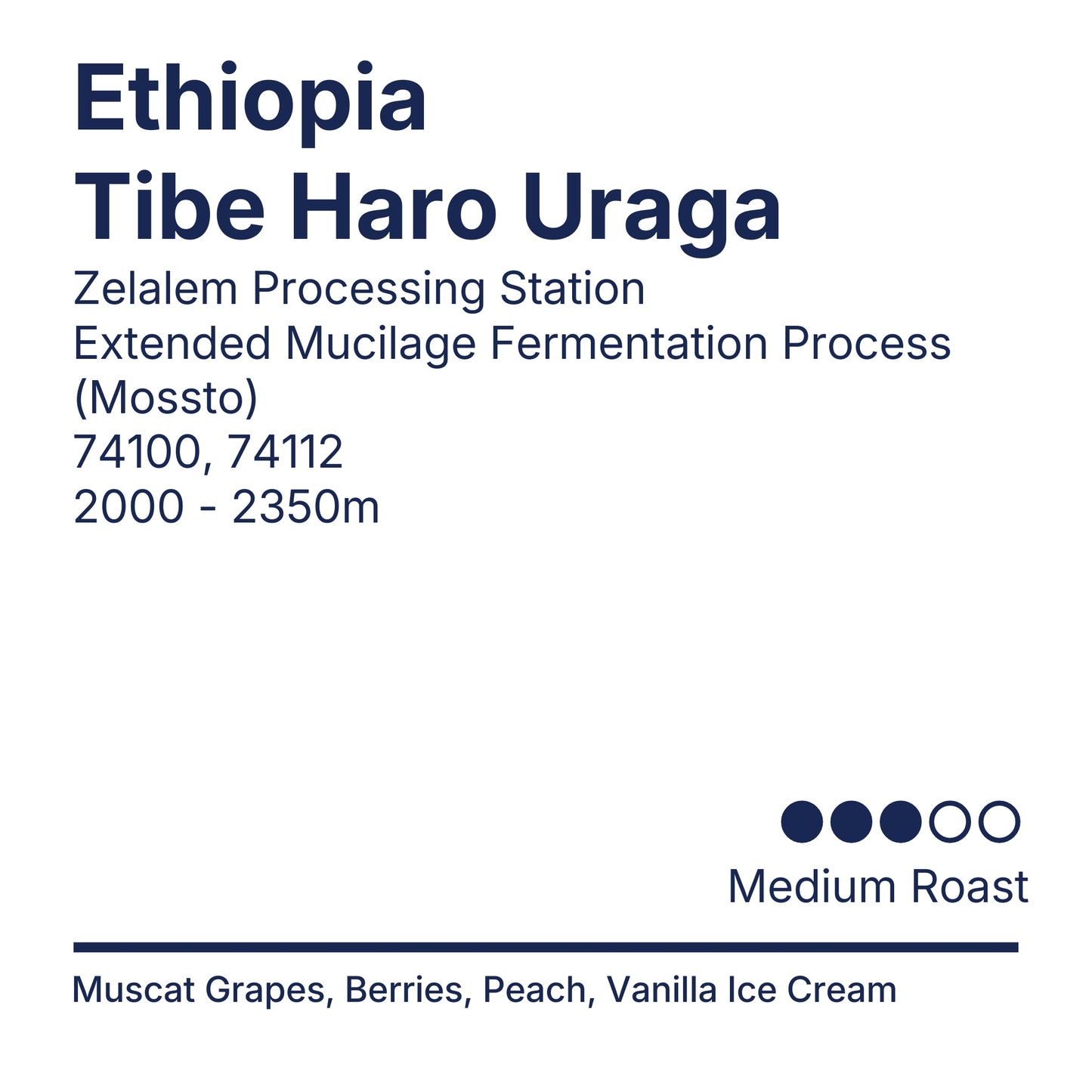 Ethiopia Tibe Haro Uraga [Premium Series]