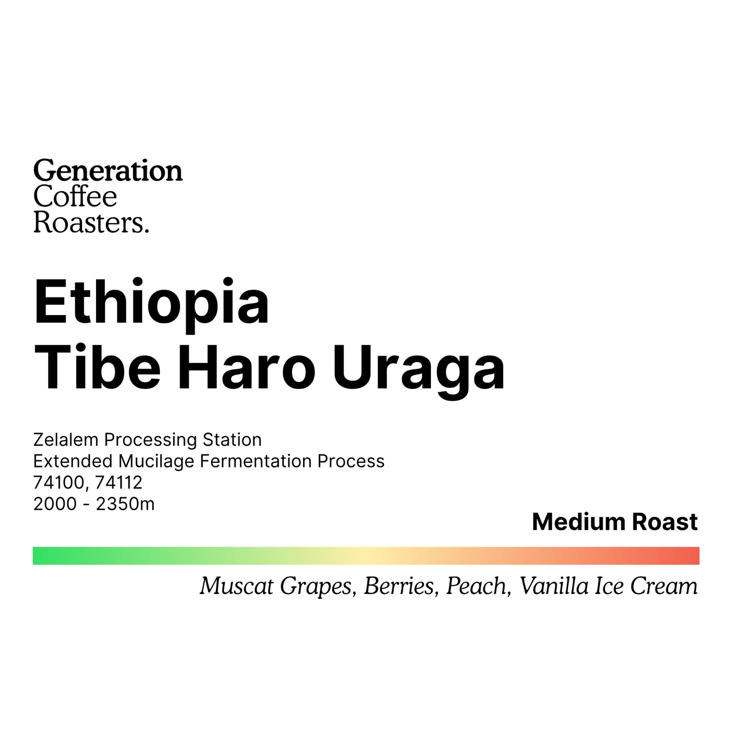 Ethiopia Tibe Haro Uraga [Premium Series]