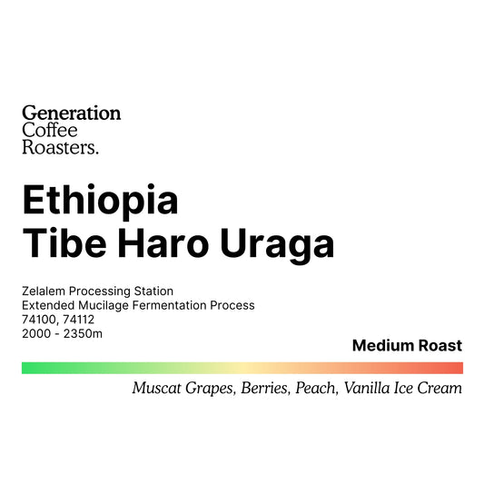 Ethiopia Tibe Haro Uraga [Premium Series]