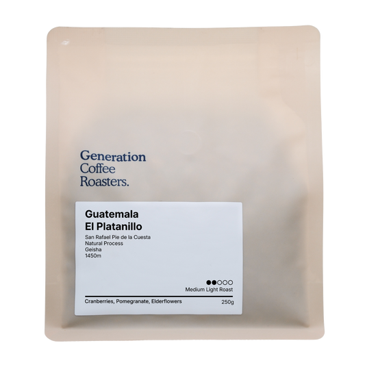 Guatemala El Platanillo Natural Geisha [Premium Series]