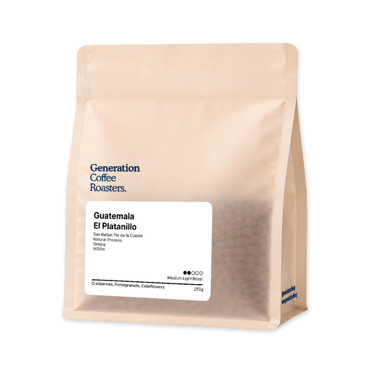 Guatemala El Platanillo Natural Geisha [Premium Series]