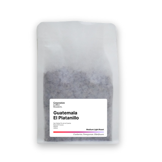 Guatemala El Platanillo Natural Geisha [Premium Series]
