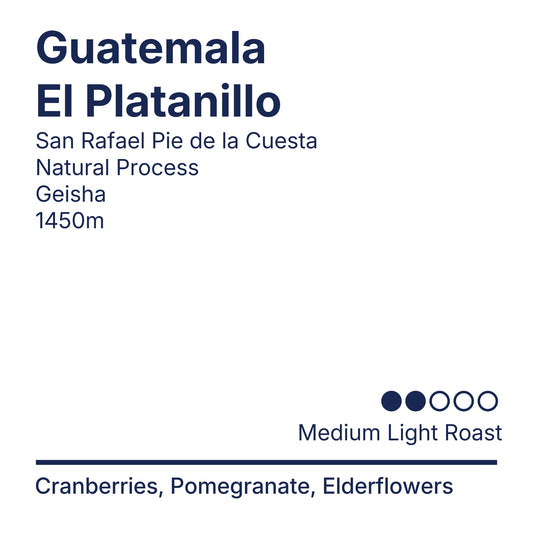 Guatemala El Platanillo Natural Geisha [Premium Series]