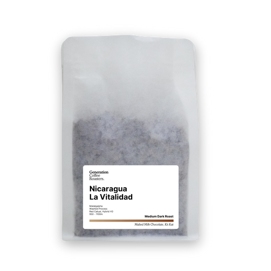 Nicaragua La Vitalidad