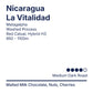 Nicaragua La Vitalidad