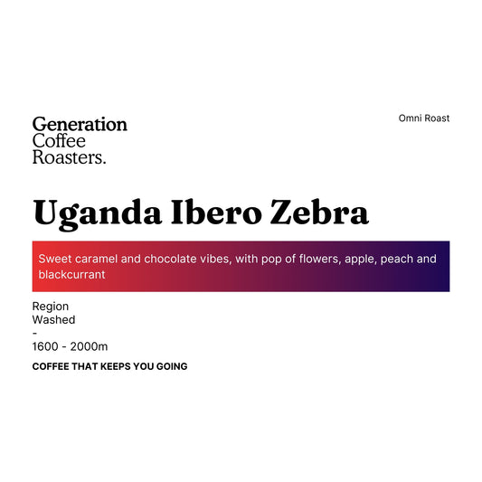 Uganda Ibero Zebra