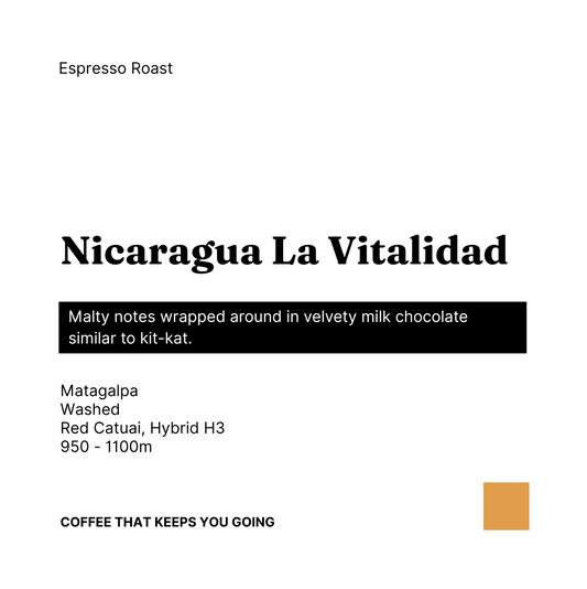 Nicaragua La Vitalidad