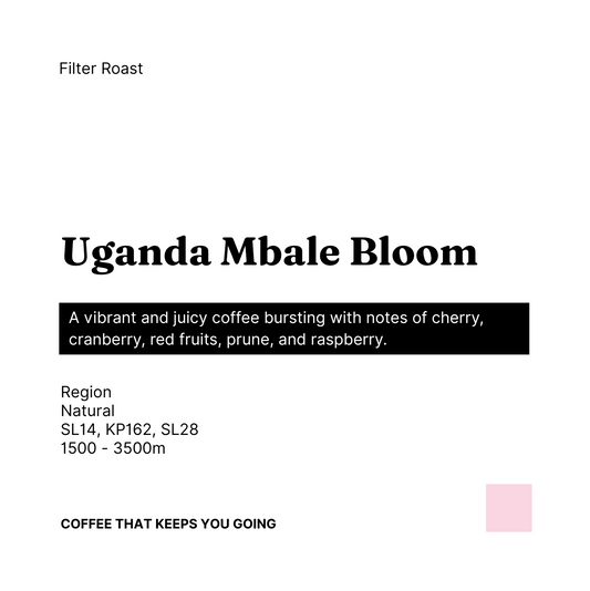 Uganda Mbale Bloom