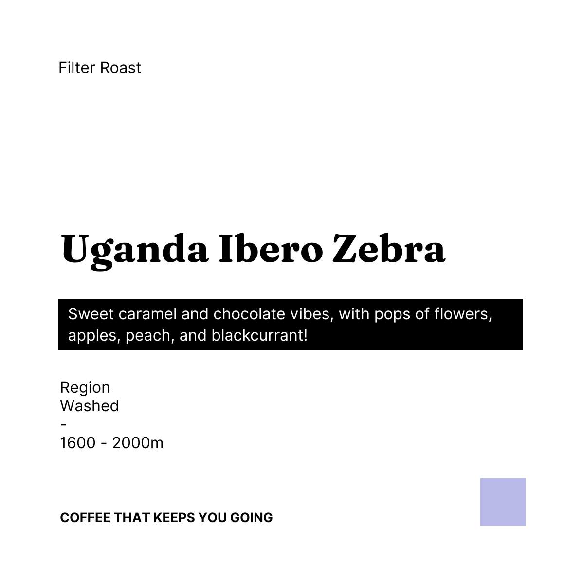 Uganda Ibero Zebra