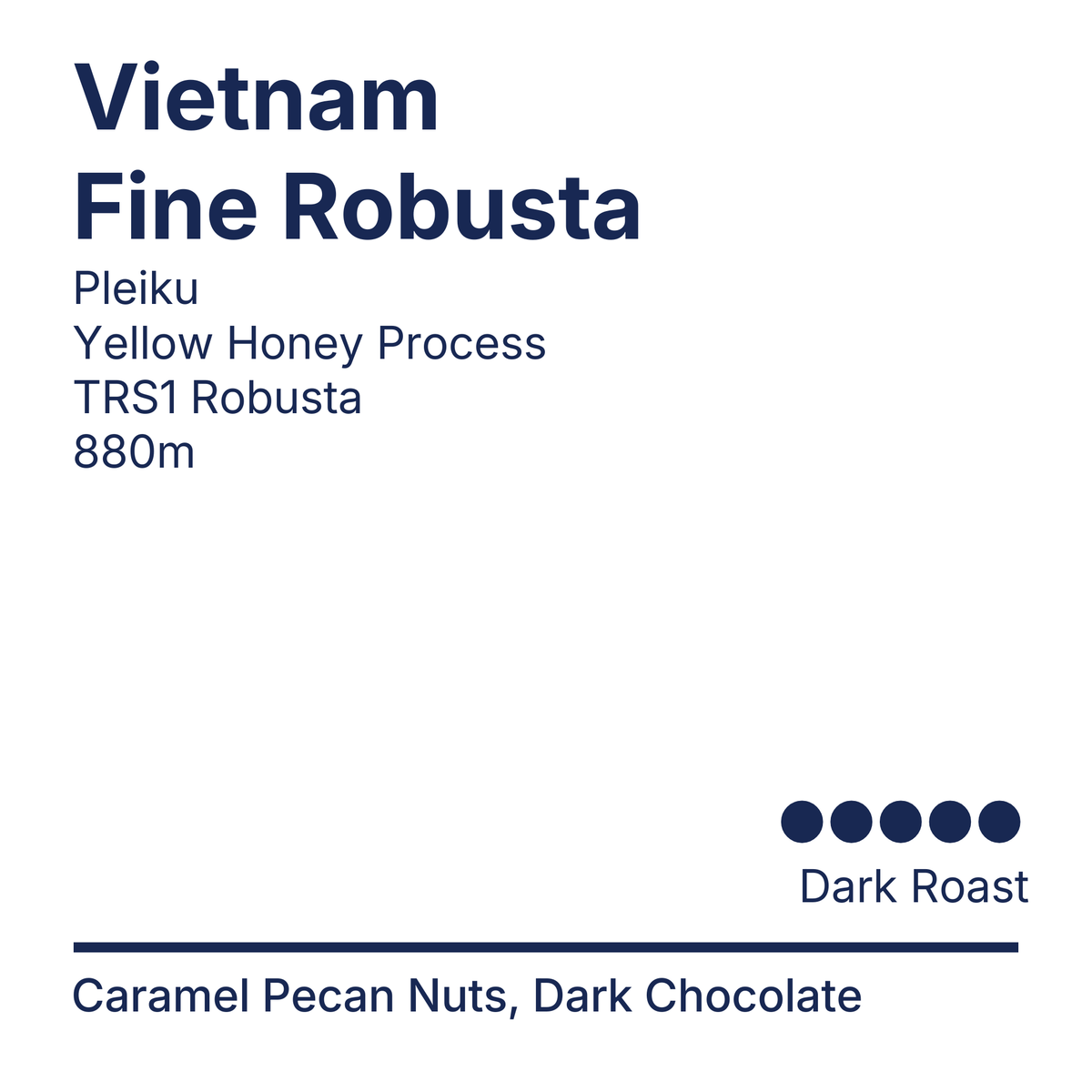 Vietnam Yellow Honey Fine Robusta