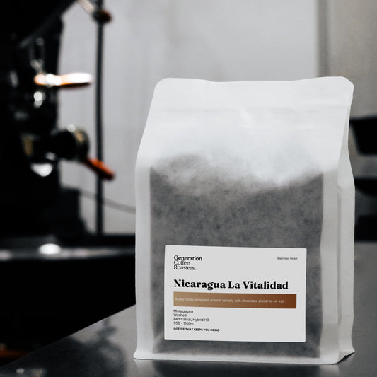 Nicaragua La Vitalidad