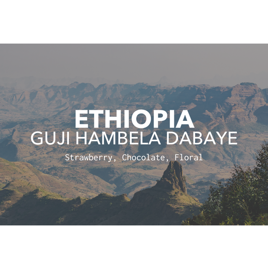 Ethiopia Guji Hambela Dabaye